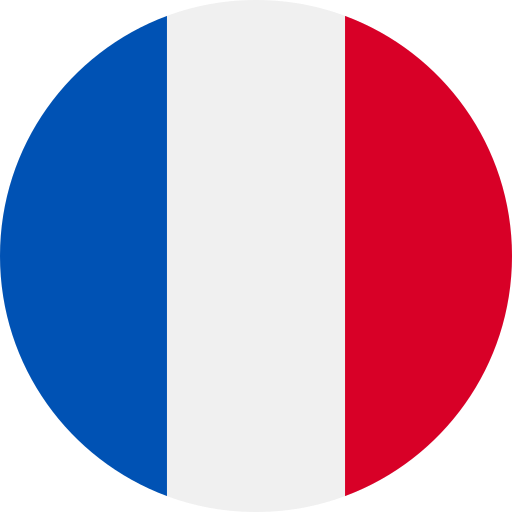 French Language Icon